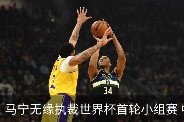 马宁无缘执裁世界杯首轮小组赛 中国裁判三人组仅傅明亮相